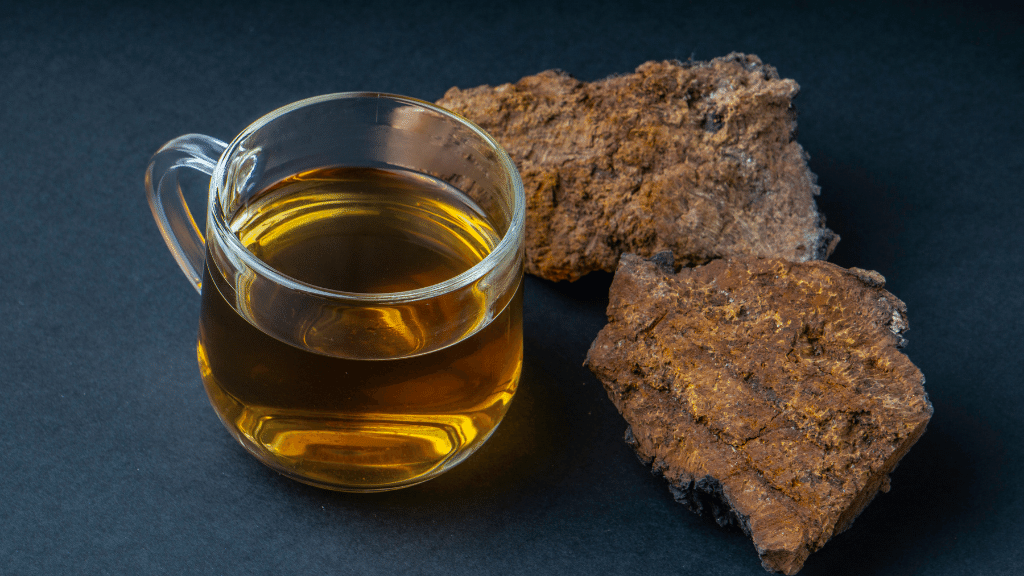 How to Use Chaga for Erectile Dysfunction The Complete Guide